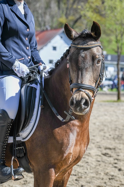 感染着身边 感染着身边