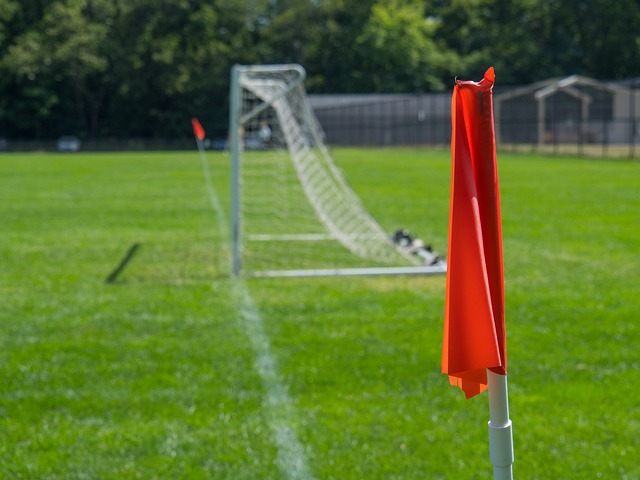 箭队的潜力 箭队的潜力