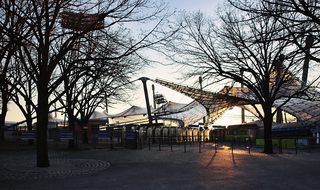 中国的年轻 中国的年轻