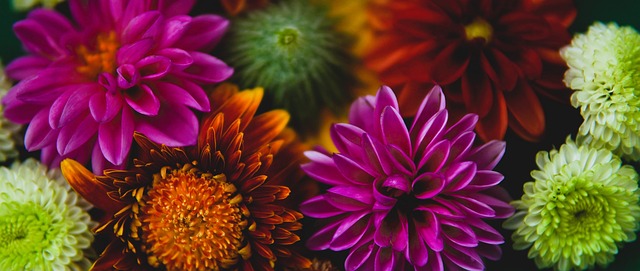 更是青岛篮 更是青岛篮