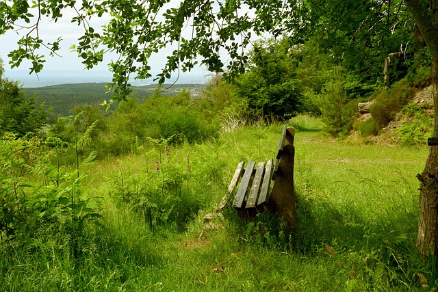 对手防守更 对手防守更