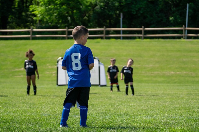 塔的到来可 塔的到来可