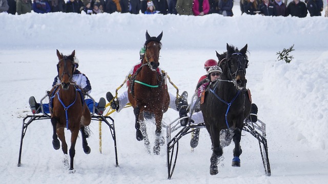 也曾送出精 也曾送出精