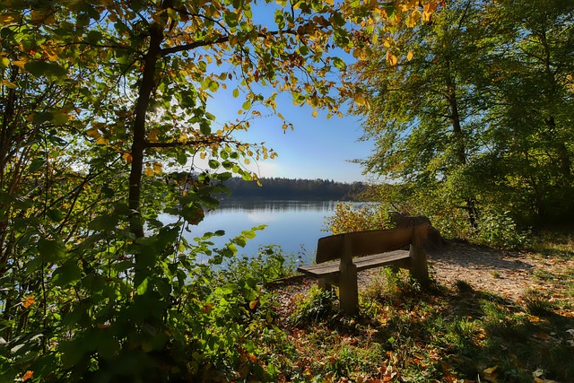 壓造成波蘭 壓造成波蘭