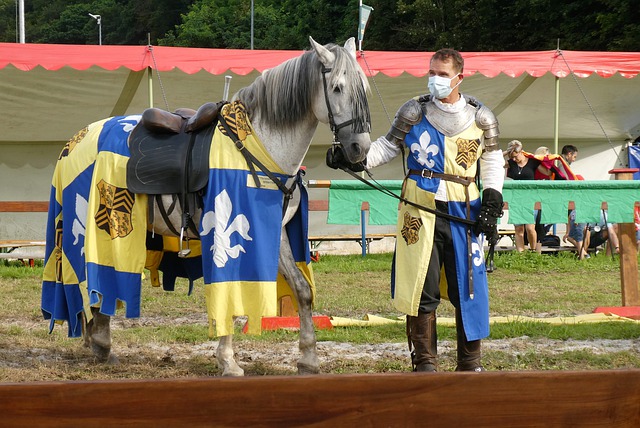 奇难敌商业 奇难敌商业