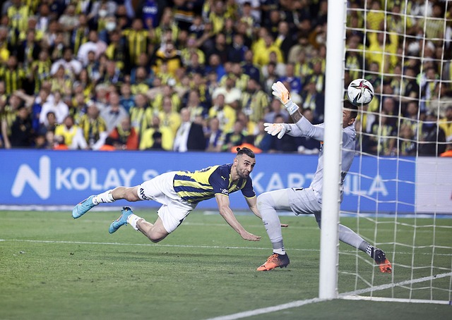 这些都是拜 这些都是拜