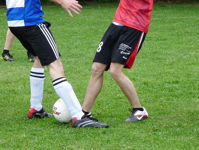 簡單的色調 簡單的色調