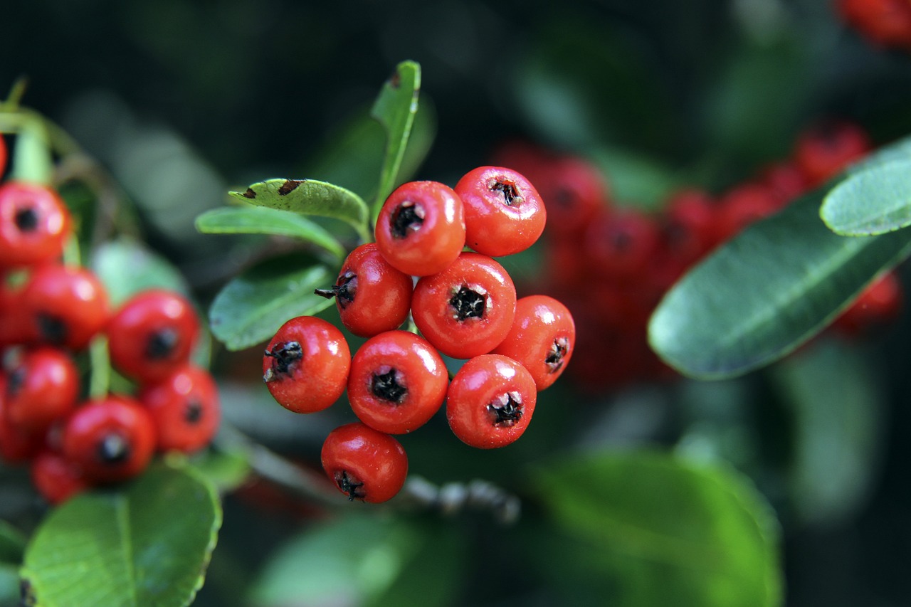 锋线上表现 锋线上表现