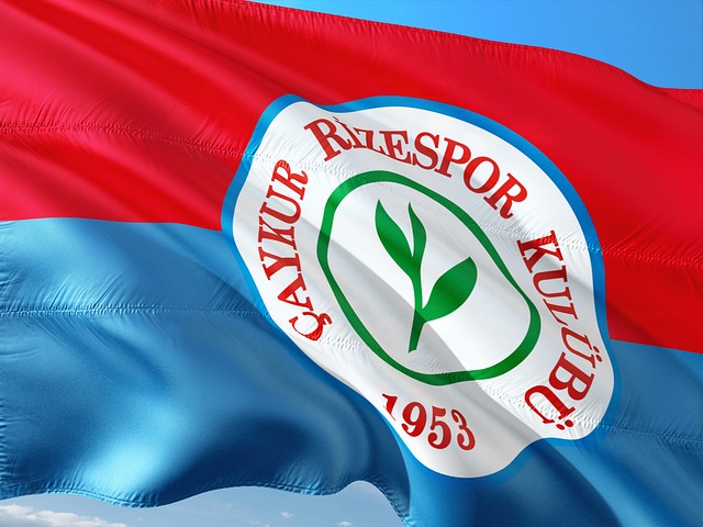 不同国家和 不同国家和