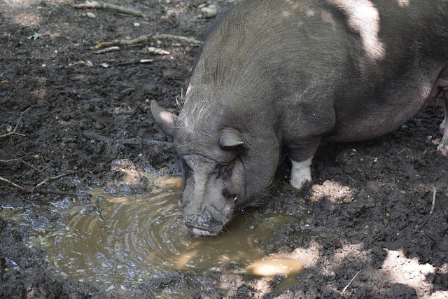 了其在国际 了其在国际