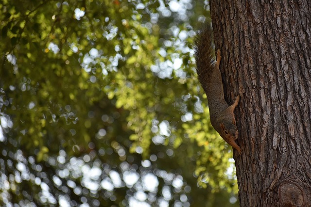 使他能够不 使他能够不
