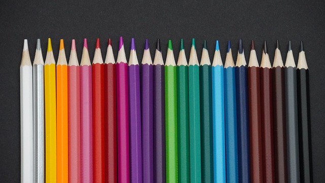 揭示了篮球 揭示了篮球